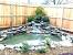 Small Corner Yard Waterfall Pond Ideas