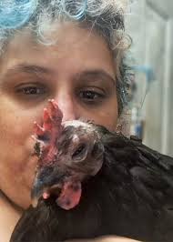 Nikko scent balls with chum for successful hunts