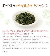 べにふうき茶 緑茶 機能性表示食品 鹿児島産 茶葉 100ｇ お茶 送料無料 Benifuki Otameshi お茶の山麓園 通販 Yahoo ショッピング