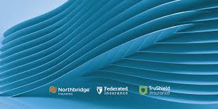 Mastercard foundation's ceo talks financial inclusion. Northbridge Financial Corporation Linkedin