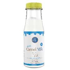 Camel milk is rich in nutrients, including proteins and good fats. Aadvik Camel Milk Chocolate Butterscotch 50 Gram Bar Buy Aadvik Camel Milk Butterscotch 50 Gram Chocolate Bar