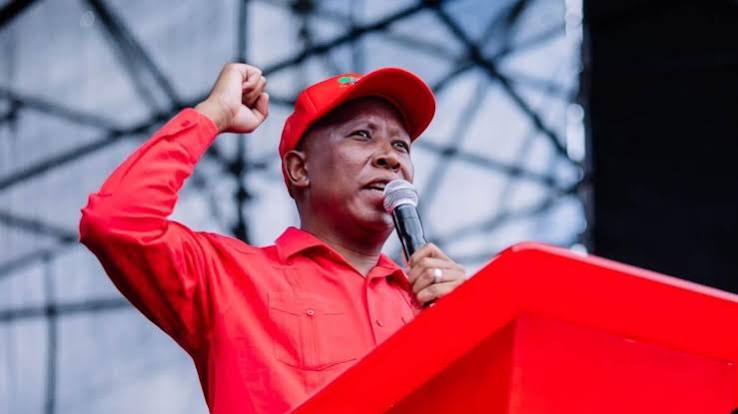Julius Malema says black people must take white people's land – Newsday