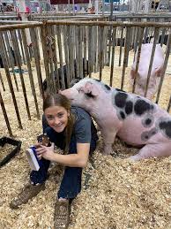 Ffa Pictures Raising Pigs Ffa Pictures