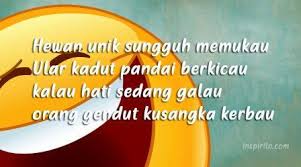 99 Pantun Lucu Dan Gokil Banget Yang Bikin Ngakak Gak Ketulungan