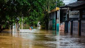 Seorang pekerja di perusahaan swasta maupun instansi pemerintah pasti pernah berhalangan untuk masuk kerja. Banjir Sulawesi Selatan Cermin Buruk Pencegahan Bencana Mongabay Co Id
