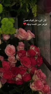 Flowers Love شعر ورد In 2021 Flowers Rose Plants