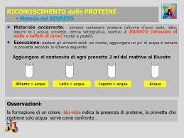 Senza la matrice proteica la carne e i formaggi, ad esempio, sarebbero senza una struttura! Laboratorio Di Biologia Ricerca Delle Biomolecole Ppt Scaricare