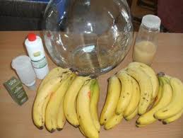 Fruchtwein Bananenwein Rezept Mit Bild Rezept Fruchtwein Fruchte Banane