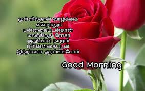 Check spelling or type a new query. Top 30 Sad Quotes In Tamil With Images For Whatsapp And Facebook