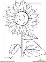 They can also add a light crunchiness. Color The Sunflower Worksheet Education Com Sunflower Coloring Pages Sunflower Drawing Sunflower Art