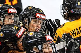 Eishockeyiihf wm 2021 lettlandgruppe bergebnisse & tabelle. Eishockey Wm Der Frauen Der Grosse Schock Kurz Vor Dem Abflug Regional Neue Presse Coburg