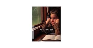 Amazon.com: My Life as a Dog (The Criterion Collection) [Blu-ray] : Anton  Glanzelius, Tomas von Bromssen, Anki Liden, Melinda Kinnaman, Kicki  Rundgren, Lasse Hallstrom: Movies & TV