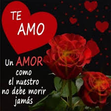 Pin En Imagenes De Flores Hermosas Con Frases
