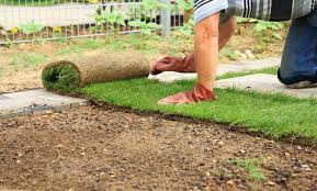 Whatever you decide, make sure that the grass species you choose are a good match to the soil in your garden. Sod Installation Service Jc S Landscaping Llc