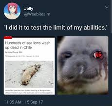 I Did It To Test The Limit Of My Abilities Hundreds Of Sea Lions Wash 3 Dead N Chile
