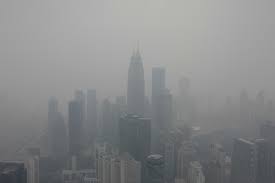 All rights reserved © thē haze / 2020. Your Top Questions On Haze Answered Greenpeace Malaysia