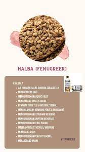 Berikut adalah 11 khasiat dan manfaat lidah buaya yang perlu anda ketahui 3. Kebaikan Bubble Belly Minyak Urut Moden Membakar Lemak Facebook