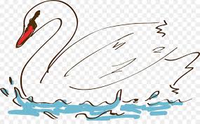 Cartoon Cartoon See more ideas about swan drawing, swan, swan painting. subpng