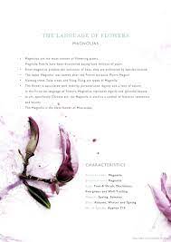 The Language Of Flowers Magnolia Georgie St Clair Plant Meanings Language Of Flowers Flower Meanings