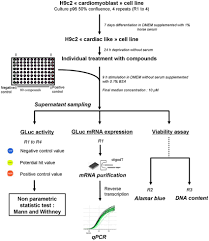 flow chart describing the robotized cellular assay rca