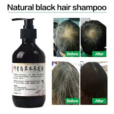 The higher the melanin content the darker will be your hair. Herbal Natural Polygonum Multiflorum Shampoo Plant Liquid Grey Hair White Hair Removal Turn Permanent Black Hair Care Shopee Philippines