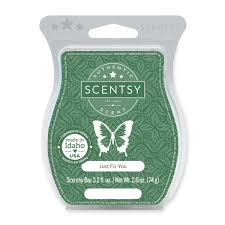 Use these simple rounds of fragrance to refresh your car or rv and toss them. Just Fir You Scentsy Bar Discontinued Buy Scentsy Online Buy Sell Scents