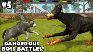 Ultimate Cat Simulator Boss Battles Android Ios Gameplay Episode 5 Youtube