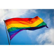 Your chosen #family follow @pride and @gayety curated by @iamraynbow all black lives matter. Lgbt Flagge In Sonstige Flaggen Gunstig Kaufen Ebay