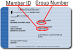 What Is Policy Number On Insurance Card