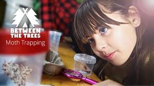 👋 Meet our sixth resident artists Vicky Isley and Paul Smith  Boredomresearch! Vicky and Paul's residency will look at Brilliant  Bryophytes. The residencies will re-think the way we see species through  arts