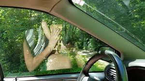 Experience the fun of outdoor adventure at starved rock state park. Starved Rock State Park Campground East Wooded Drive Through Youtube