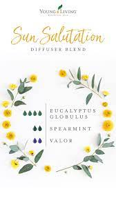 Pin On Diffuser Blends