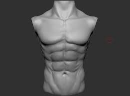 Ninja nerds,join us in this video where we use various models to show the muscles of the thorax and abdomen. Artstation Male Chest Anatomy Practice Tomas Sosto