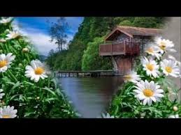 Beautiful Nature Images Hd Nature Beautiful Flowers Nature Sceneries For Whatsapp Download Youtube Beautiful Images Nature Beautiful Nature Nature Photos