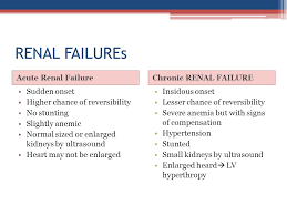 pediatric renal diseases ppt video online download