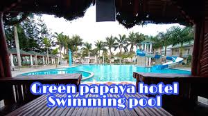 Most dogs love to swim, but most residents don't want to swim with them in the community pool. Green Papaya Hotel Swimming Pool Youtube