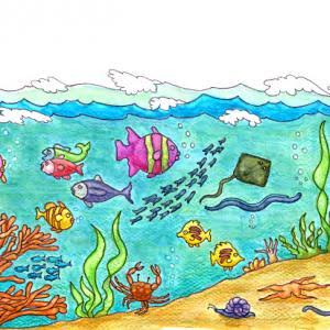 Vibrant Underwater Ecosystem Illustration for Education & Design #3065201 |  Clipart Library
