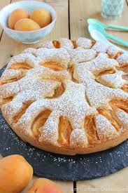 Moelleux Aux Abricots 2 Recette Recette Gateau Abricot Recettes Sucrees