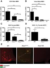 The names have been increasing in popularity since the 2000s. Redundancy In Kiss1 Expression Safeguards Reproduction In The Mouse Abstract Europe Pmc