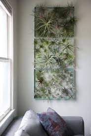The unglazed, moroccan brown planters designed by michael mcdowell can be propped on any countertop or suspended using the. 12 Elegant Ways To Bring Air Plants Into Your Home Plant Display Ideas Air Plants Decor Air Plant Display Ideas