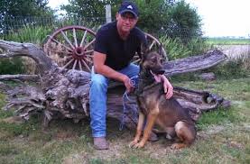 Find the perfect puppy for you and your family. Home Countryside Kennels Derek Kara Stevens
