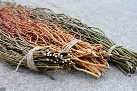 Redtwig Farms Bundle Of 50 Scarlet Curl Curly Willow Branches By Redtwigfarms Curly Willow Flower Farm Ornamental Grasses