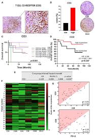 September 1973) er en norsk programleder fra oslo. Frontiers Increased Tumor Immune Microenvironment Cd3 And Cd20 Lymphocytes Predict A Better Prognosis In Oral Tongue Squamous Cell Carcinoma Cell And Developmental Biology