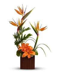 Maybe you would like to learn more about one of these? Teleflora S Bamboo Paradise In Detroit Mi Grace Harper Florist