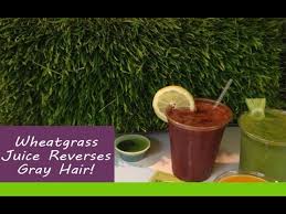 Wheatgrass juice contains minerals and vitamins that promote hair growth and also stops premature greying of hair. Wheatgrass Juice Reverses Gray Hair Youtube