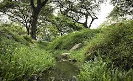Image result