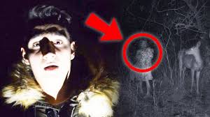 Documentarul va fi lansat de saturnalii, la mijlocul lunii decembrie 2016. Explorez Noaptea PÄdurea Hoia Baciu Fenomene Paranormal Youtube