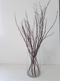 9 functional ways to decorate with tree branches this fall. Tall Birch Branches For Vases Decorative Branches For Vases Tree Branches Decoration Ideas Birch Branch Decor Decorative Birch Branches 1 Bundle 15 Birch Branches Vase Not Included 27 Large Buy Online In Germany