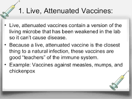 Flumist® influenza vaccine (live, attenuated) is a colourless to pale yellow liquid and is clear to for a detailed list of recommended recipients of influenza vaccine, refer to naci's statement on flumist® is a live, attenuated, trivalent influenza vaccine administered by the intranasal route as a. What Are Live Attenuated Vaccine