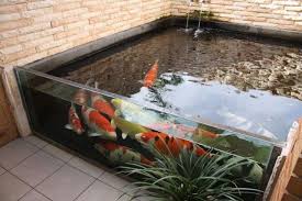 Glass Above Ground Fish Tank Koifishponds Koi Pond Design Ponds Backyard Indoor Pond